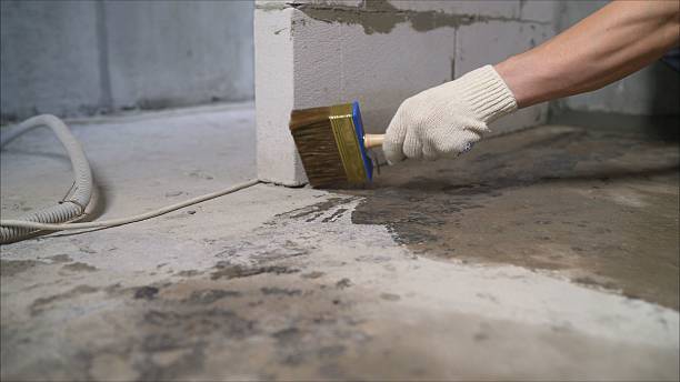 Top rated local Crawl Space Encapsulation specialists in Paris, VA